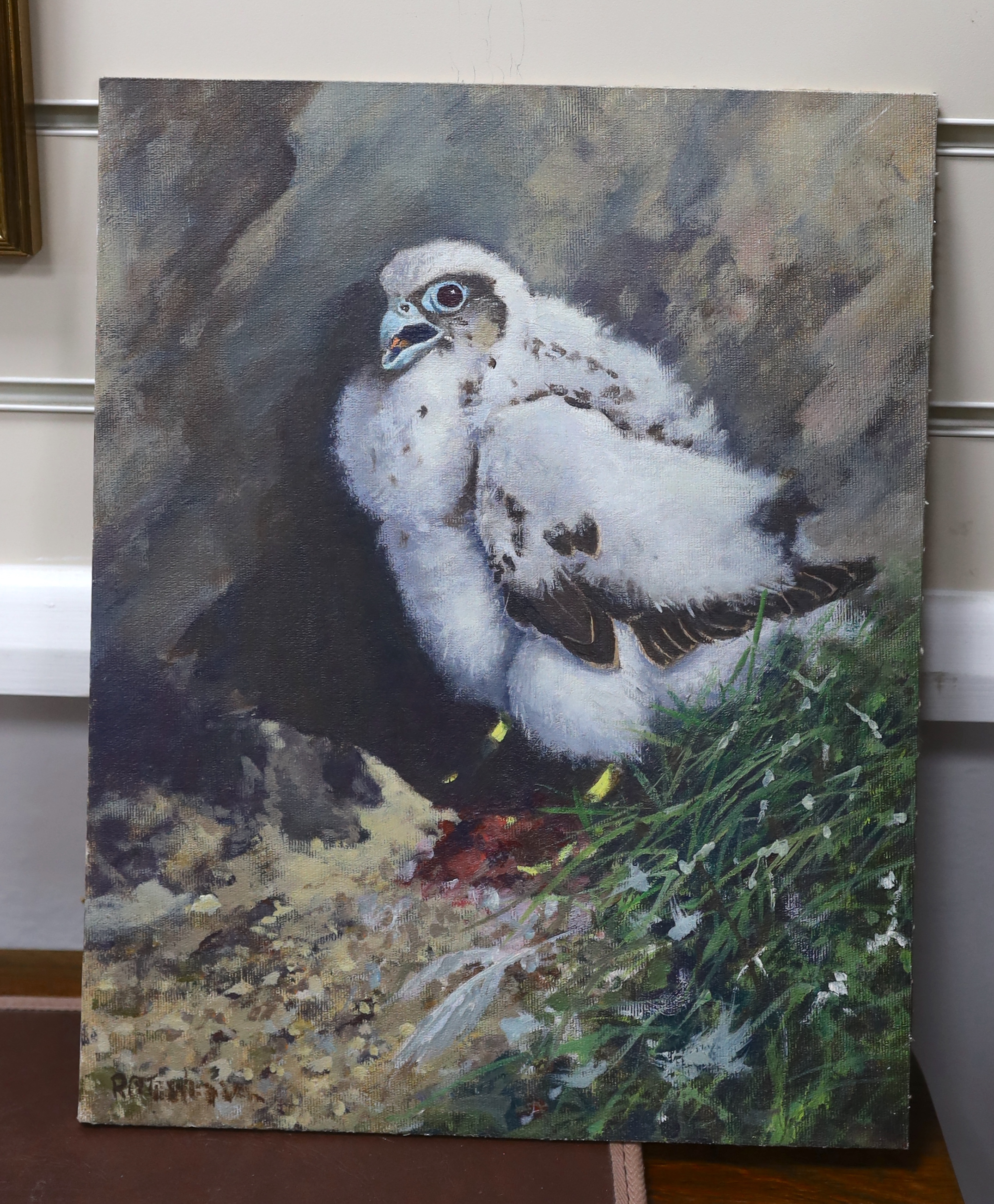 20th century school, oil on canvas board, Study of a chick, indistinctly signed lower right, 36 x 28cm, unframed